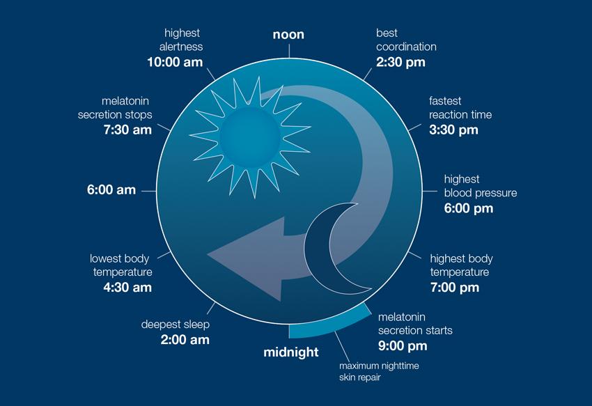 the science of sleep (and skin)