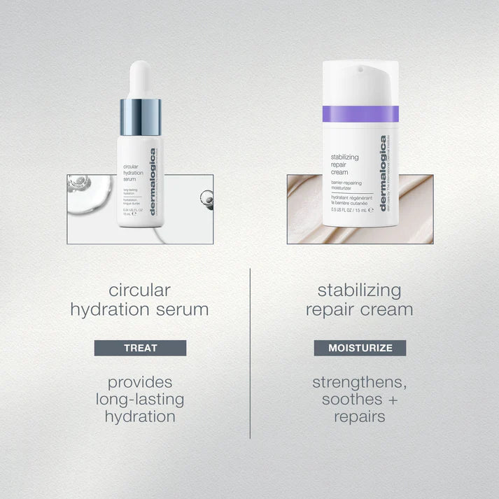 home for the holidays (4 travel-size + bag)