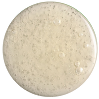 BIO-FERMENTED ACETYL GLUCOSAMINE