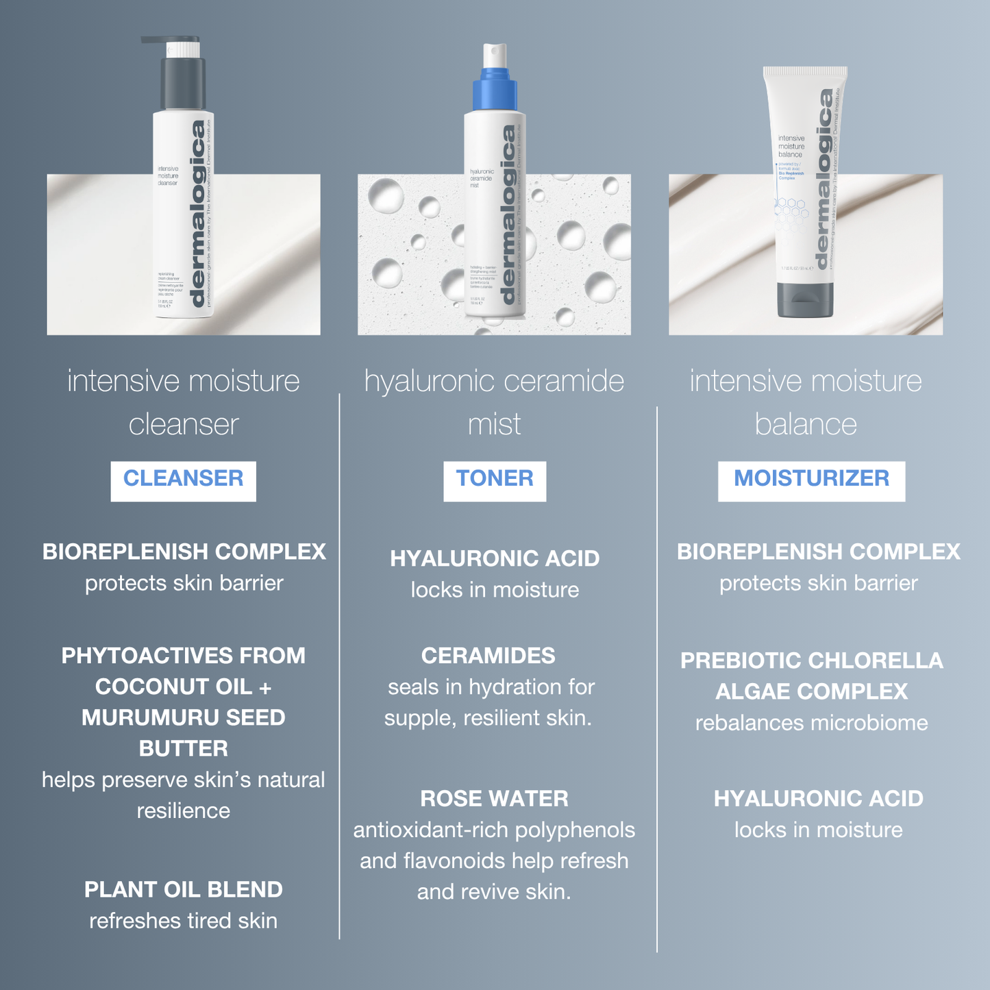 moisture matrix set